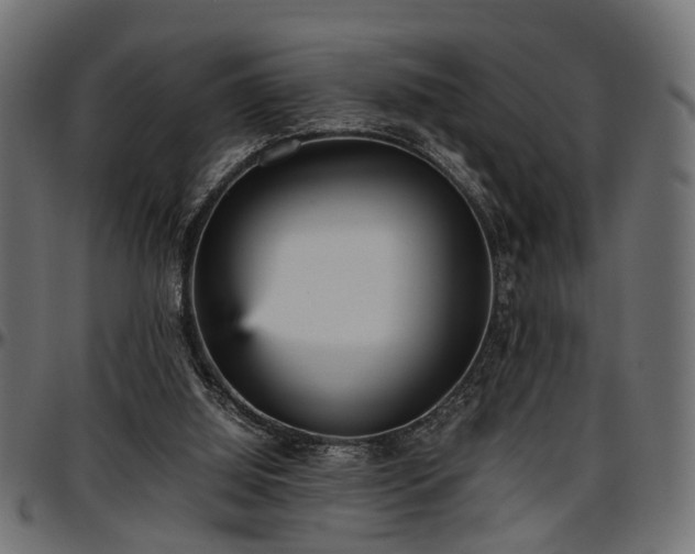 X0000096730060200802121324