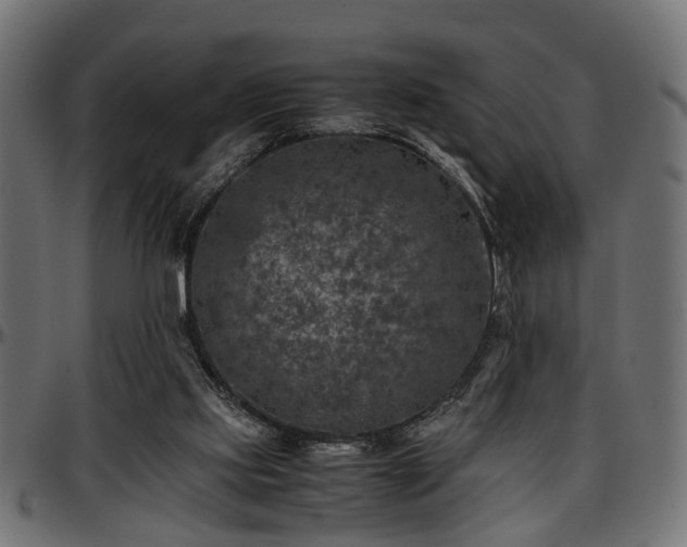 X0000096730061200802121324