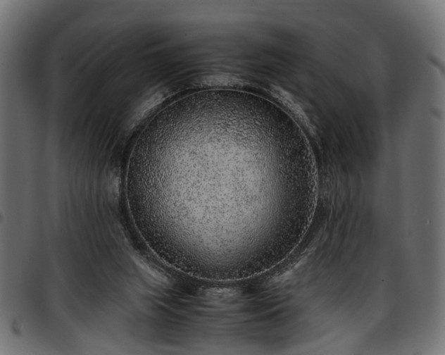 X0000096730063200802121324