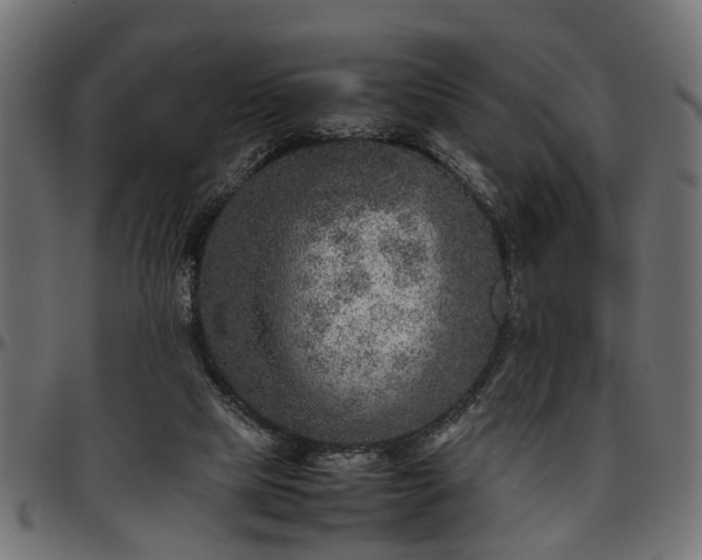 X0000096730065200802121324