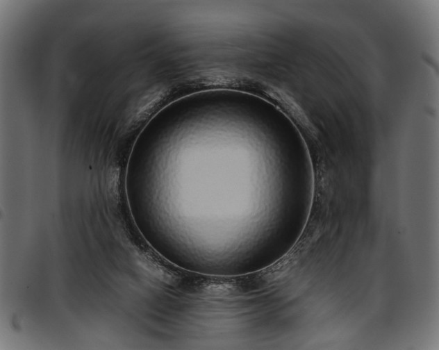 X0000096730066200802121324