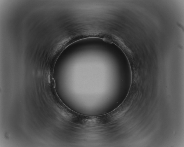 X0000096730068200802121324