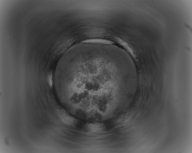 X0000096730069200802121324