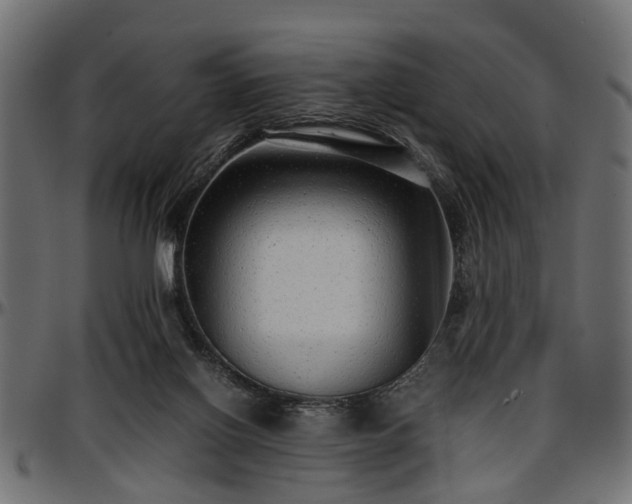 X0000096730070200802121324