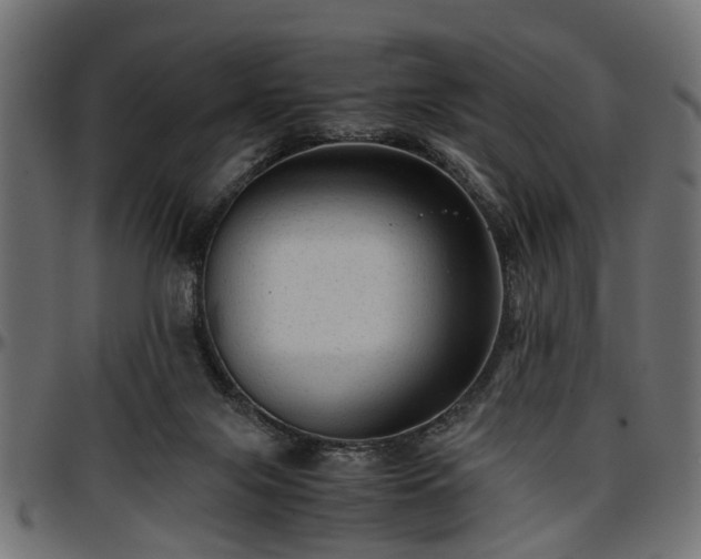 X0000096730071200802121324