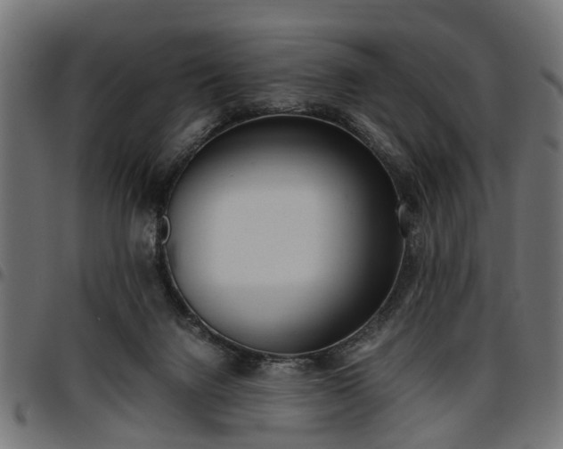 X0000096730072200802121324