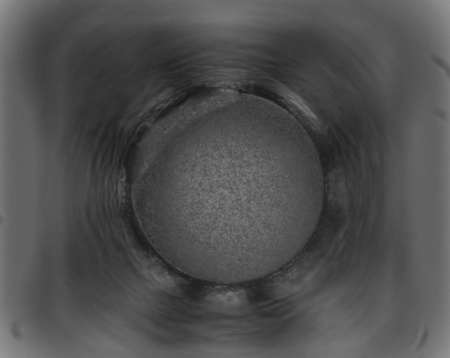 X0000096730073200802121324