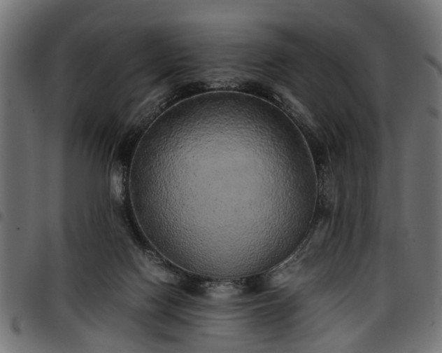 X0000096730074200802121324