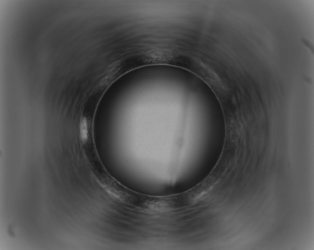 X0000096730075200802121324