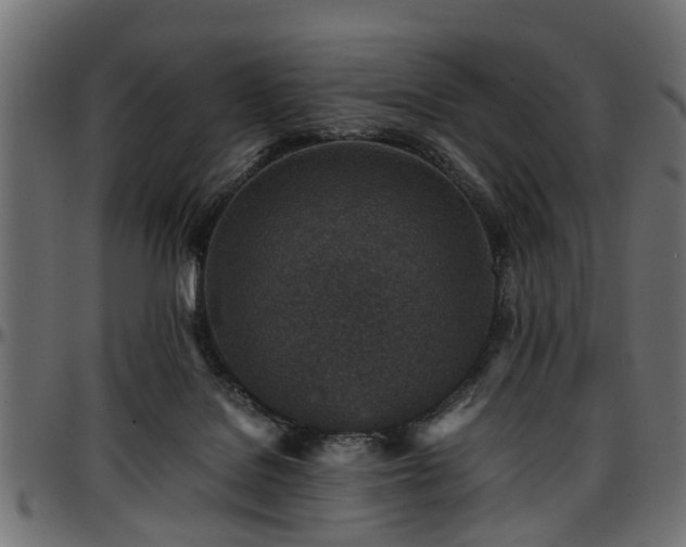 X0000096730076200802121324
