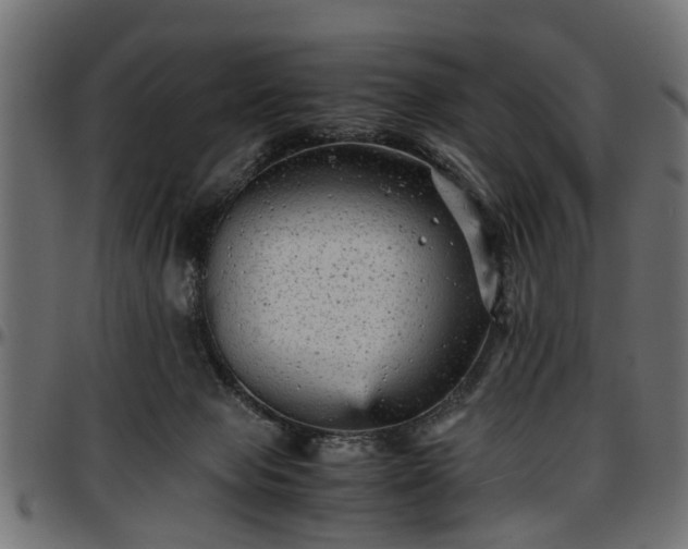 X0000096730077200802121324