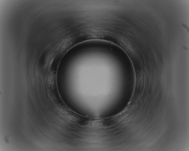 X0000096730078200802121324