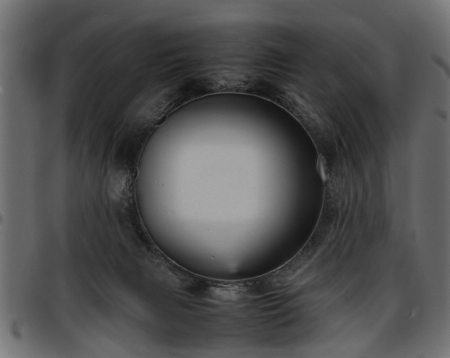 X0000096730079200802121324