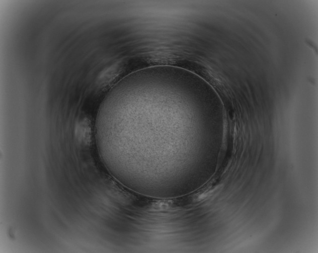X0000096730080200802121324