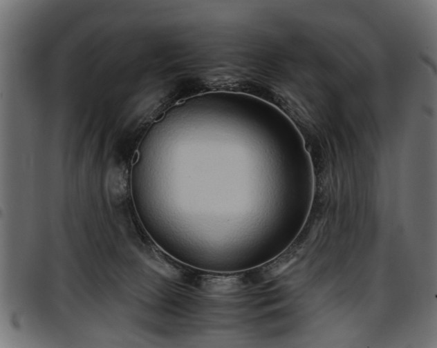 X0000096730081200802121324
