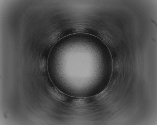 X0000096730082200802121324