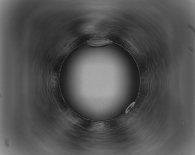 X0000096730083200802121324