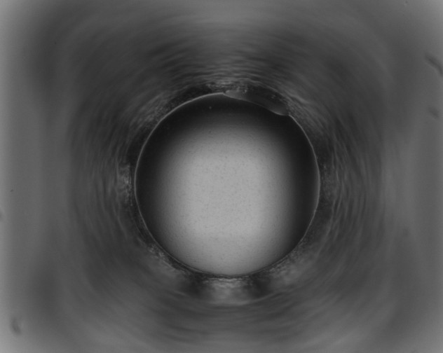 X0000096730085200802121324