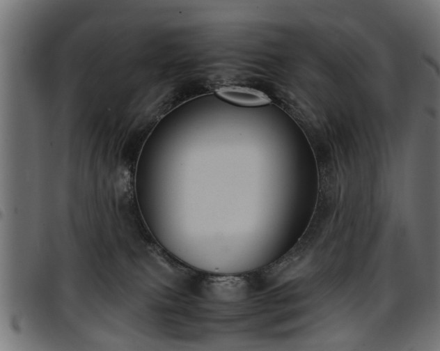 X0000096730087200802121325