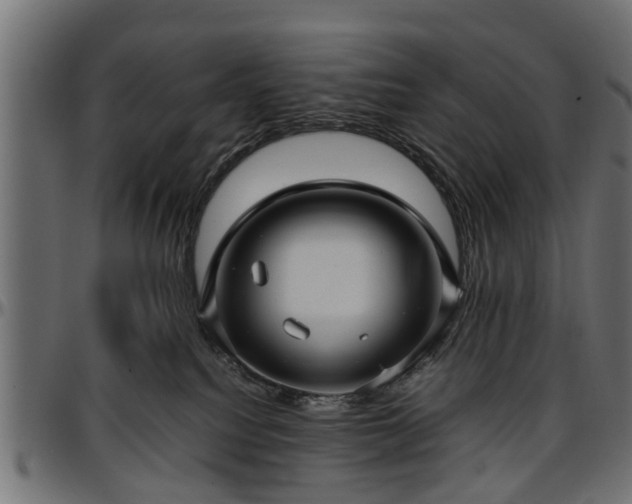 X0000096730088200802121325