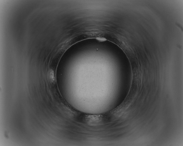 X0000096730089200802121325