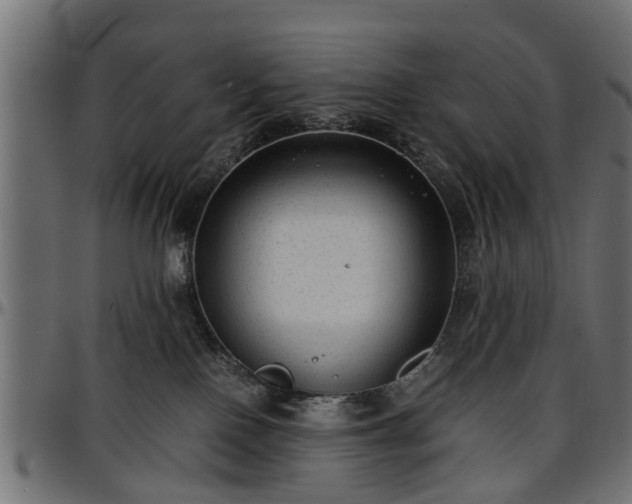X0000096730090200802121325