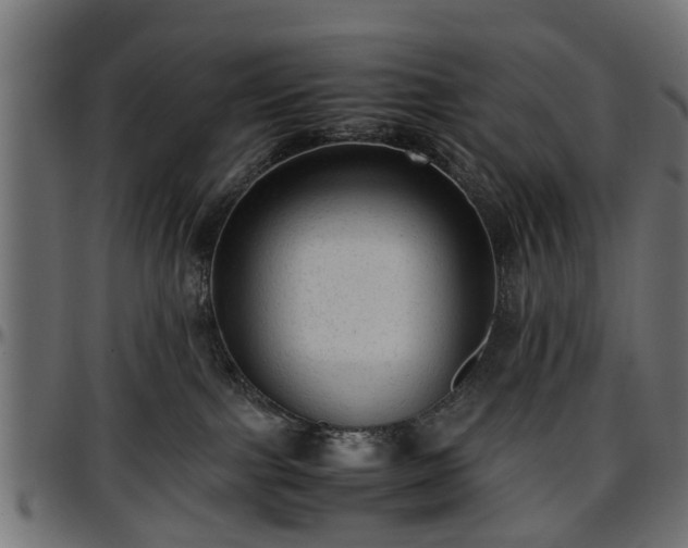 X0000096730091200802121325