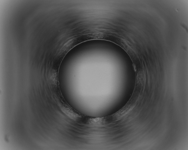 X0000096730092200802121325