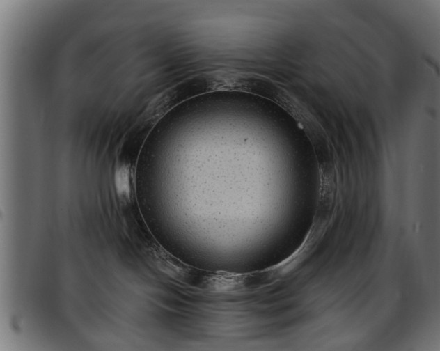 X0000096730094200802121325