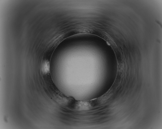 X0000096730095200802121325