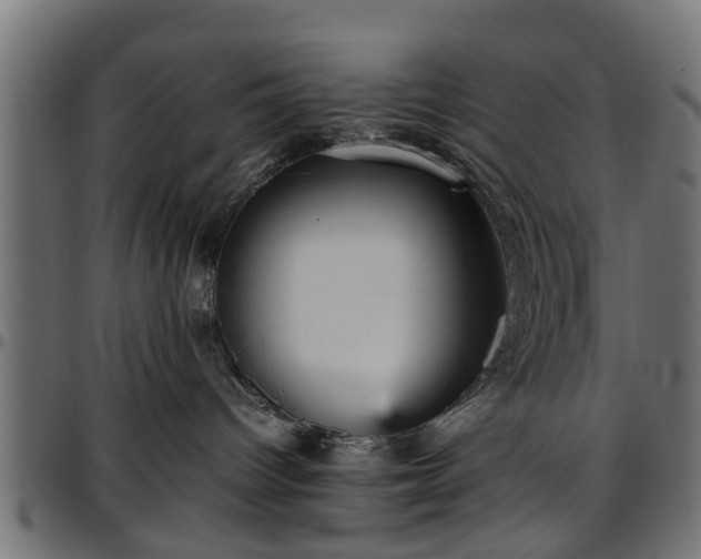 X0000096730096200802121325