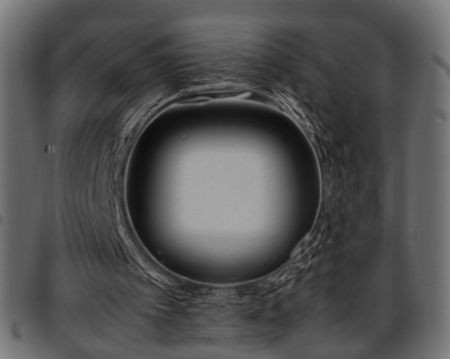 X0000096730097200802121324