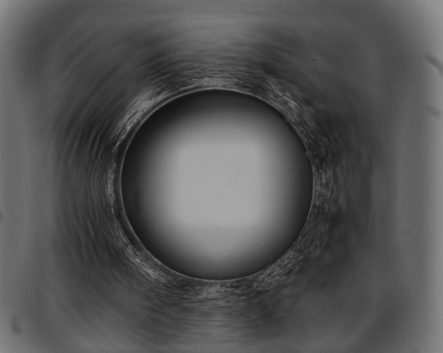 X0000096730098200802121324