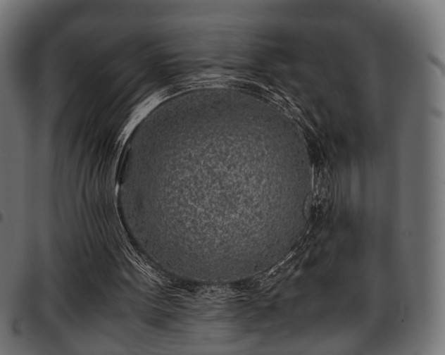 X0000096730099200802121324