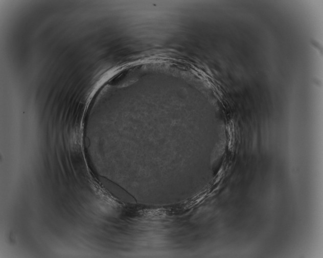 X0000096730100200802121324