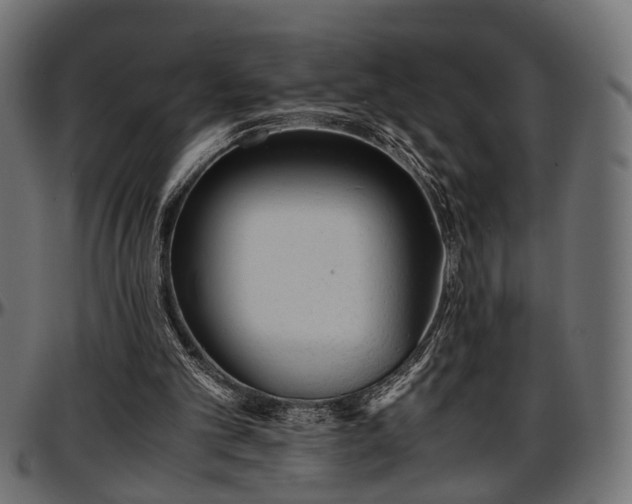 X0000096730101200802121324
