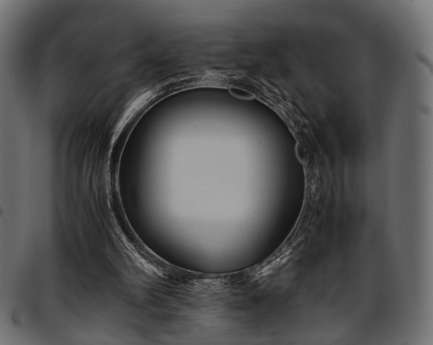 X0000096730102200802121324