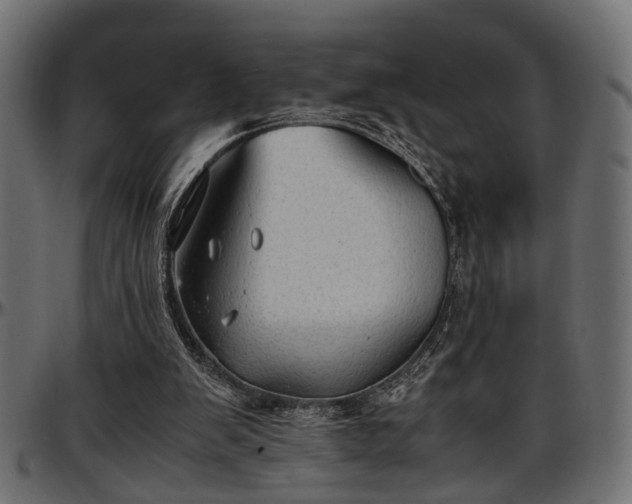 X0000096730103200802121324