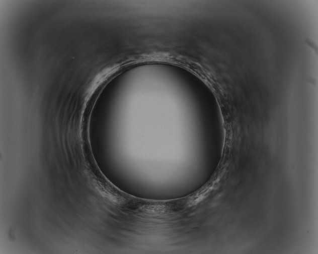 X0000096730104200802121324