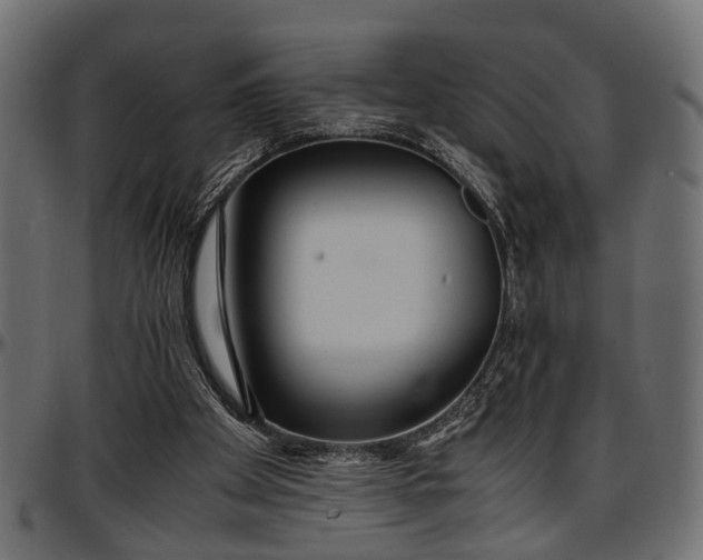 X0000096730105200802121324