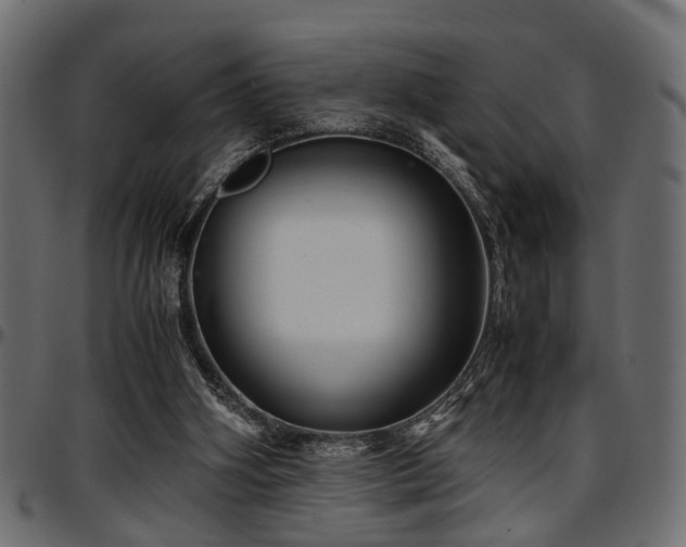 X0000096730106200802121324