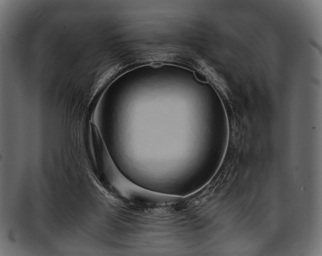 X0000096730107200802121324
