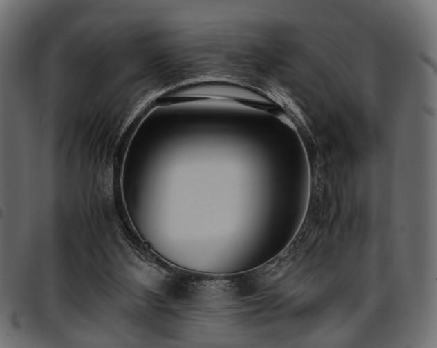 X0000096730108200802121324