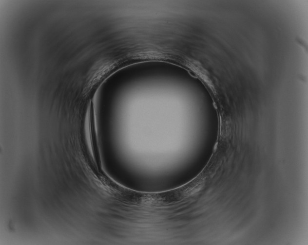 X0000096730109200802121324