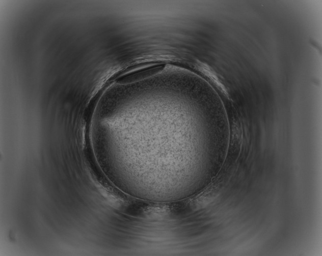 X0000096730110200802121324