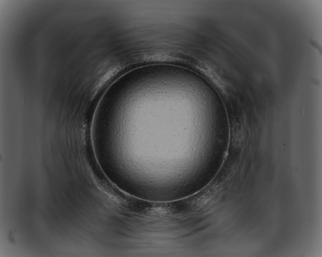 X0000096730111200802121324