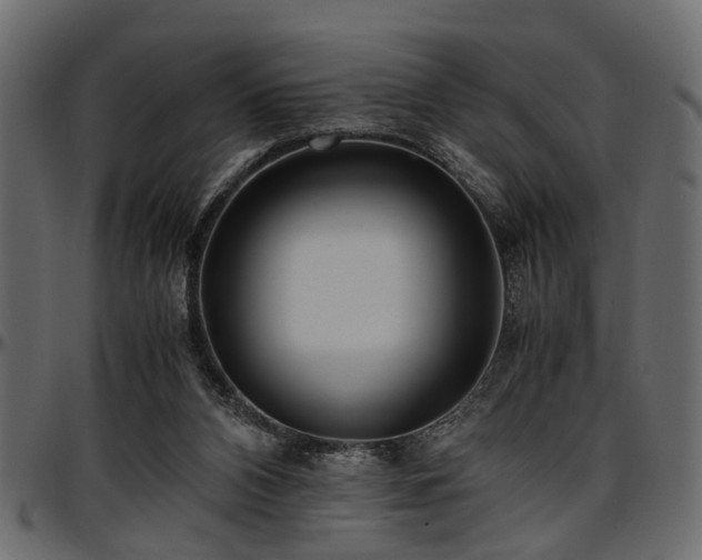 X0000096730112200802121324