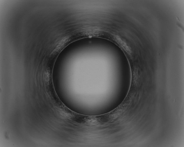 X0000096730113200802121324