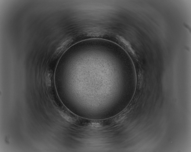 X0000096730114200802121324