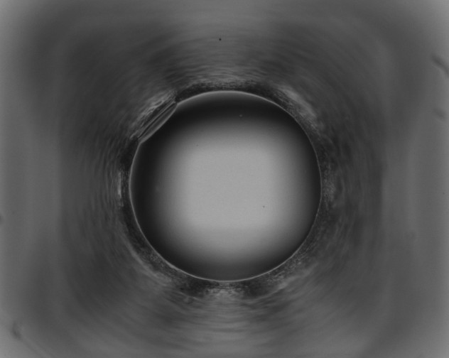 X0000096730115200802121324